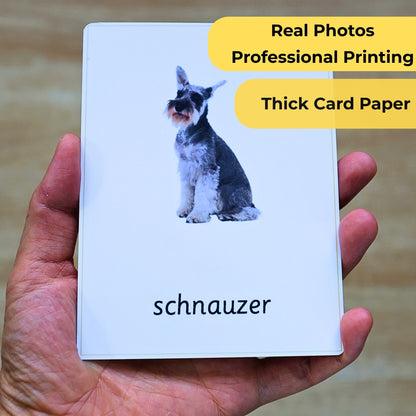 24 Dog Breeds Handmade Premium Vocabulary Cards with Facts - Educational Language Activity for Forest School, Montessori and Homeschools