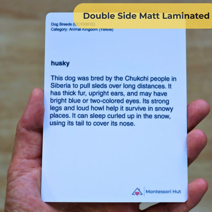 24 Dog Breeds Handmade Premium Vocabulary Cards with Facts - Educational Language Activity for Forest School, Montessori and Homeschools