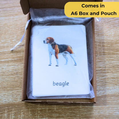 24 Dog Breeds Handmade Premium Vocabulary Cards with Facts - Educational Language Activity for Forest School, Montessori and Homeschools