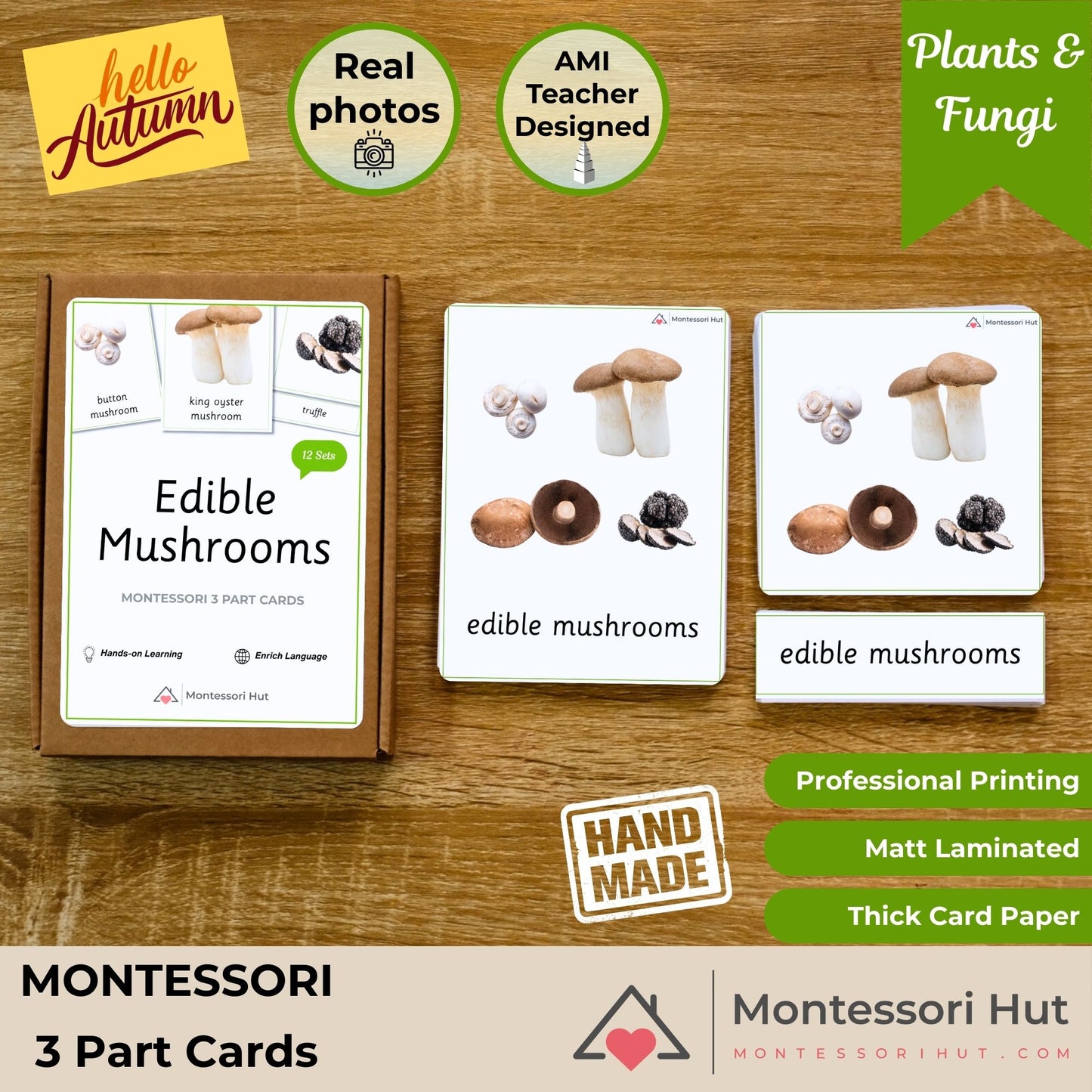 Edible Mushrooms Autumn Language Activities - Handmade Premium Montessori 3 Part Cards - 12 Sets