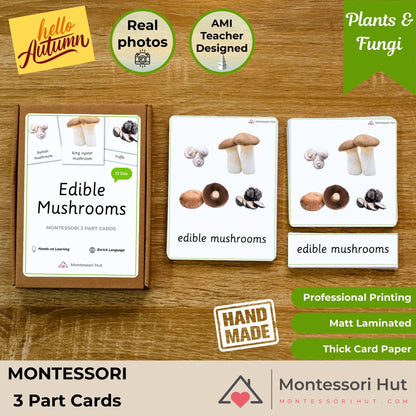 Edible Mushrooms Autumn Language Activities - Handmade Premium Montessori 3 Part Cards - 12 Sets