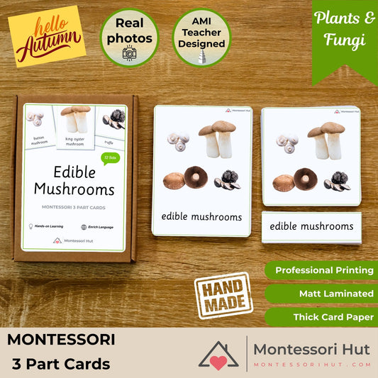 Edible Mushrooms Autumn Language Activities - Handmade Premium Montessori 3 Part Cards - 12 Sets