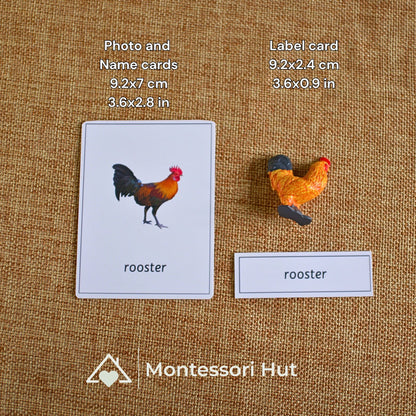 Rooster photo card, name label and matching figure with card sizes shown