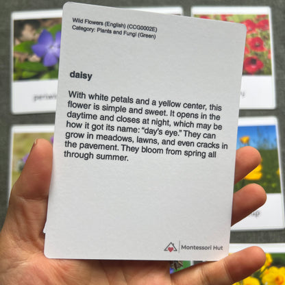 Wild Flowers Montessori 3 Part Cards - Handmade Premium Quality - Nomenclature Cards - 12 Sets