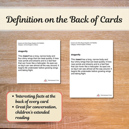 Insects and Other Bugs | Handmade Premium Montessori 3 Part Cards (12 Sets)