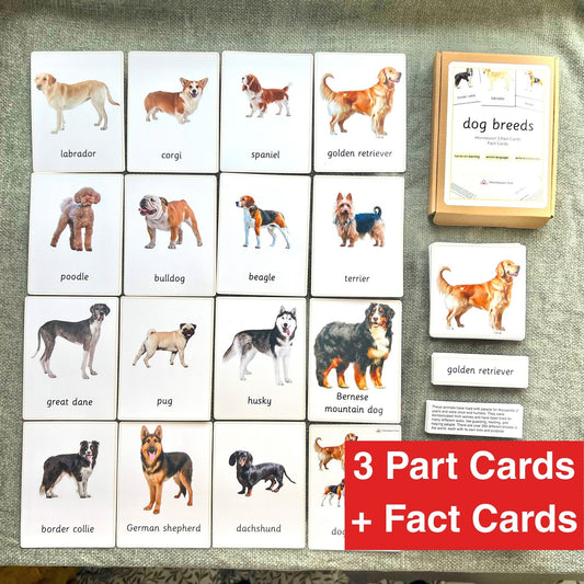 15 Dog Breeds Montessori 3-Part Cards with Fact Cards - Educational Language Activity for Forest School, Montessori and Homeschools