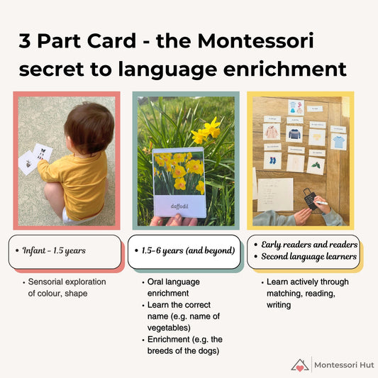 Clothes and Accessories Montessori 3 Part Cards - 12 Sets