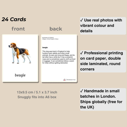 24 Dog Breeds Handmade Premium Vocabulary Cards with Facts - Educational Language Activity for Forest School, Montessori and Homeschools