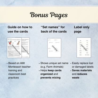 Historical Landmarks Montessori 3 Part Cards | Digital Download | Printable