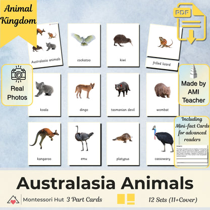 Australia / Australasia Animals Montessori 3 Part Cards | Digital Download | Printable