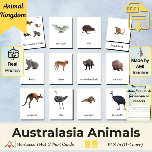 Australia / Australasia Animals Montessori 3 Part Cards | Digital Download | Printable