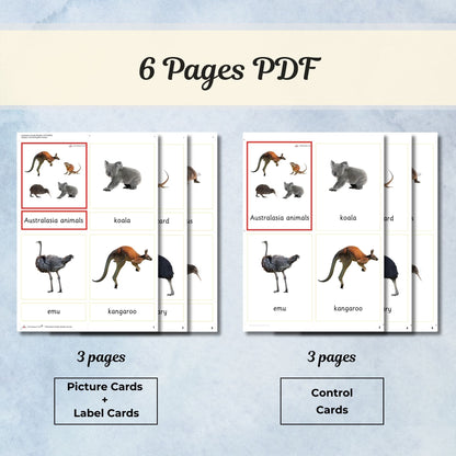 Australia / Australasia Animals Montessori 3 Part Cards | Digital Download | Printable