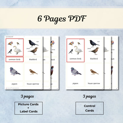 Common Birds Montessori 3 Part Cards | Digital Download | Printable