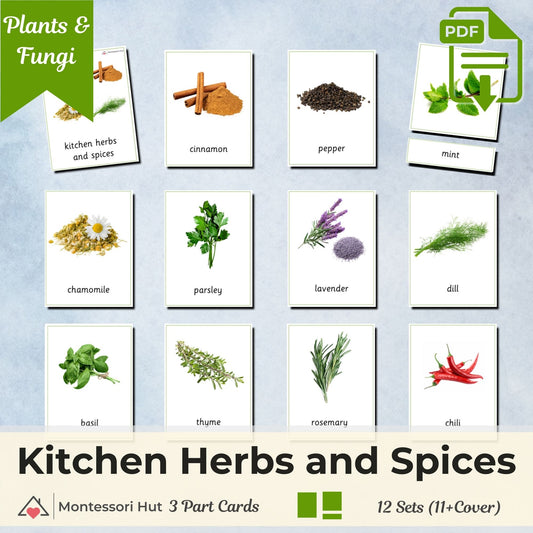 Kitchen Herbs and Spices Montessori 3 Part Cards with Fact Cards | Digital Download | Printable