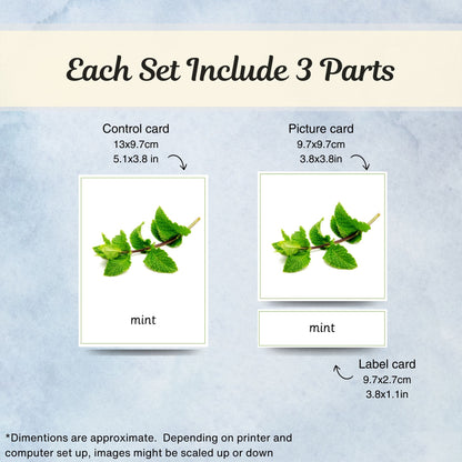 Kitchen Herbs and Spices Montessori 3 Part Cards with Fact Cards | Digital Download | Printable