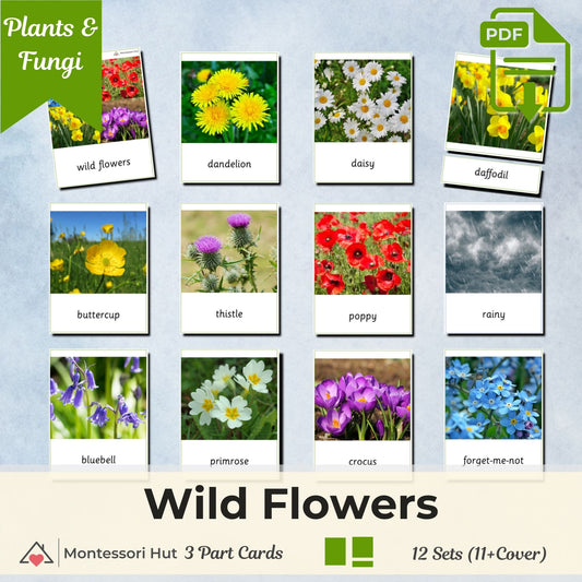 Wild Flowers Montessori 3 Part Cards with Fact Cards | Digital Download | Printable