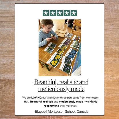 Child working with educational materials on a table, with a five-star rating and review text overlay.