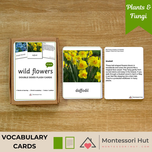 24 Wild Flowers Flash Cards with Facts - Educational Language Activity for Forest School, Montessori and Homeschools