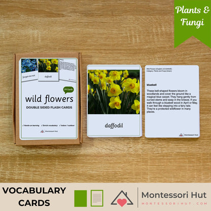Wild flowers vocabulary cards in their box, with the daffodil card