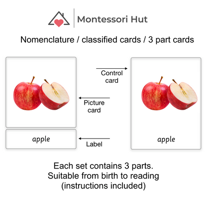 Montessori 3 Part Cards - Mega Pack 60 Common Fruits and Vegetables -  Nomenclature Cards, Classified Cards - DIGITAL DOWNLOAD