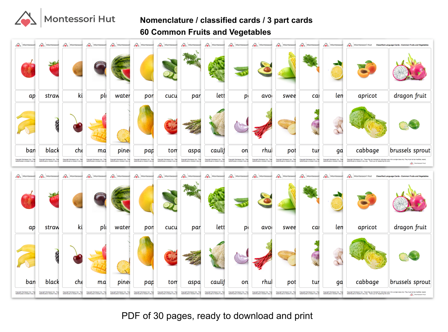 Montessori 3 Part Cards - Mega Pack 60 Common Fruits and Vegetables -  Nomenclature Cards, Classified Cards - DIGITAL DOWNLOAD with LIFE TIME ACCESS