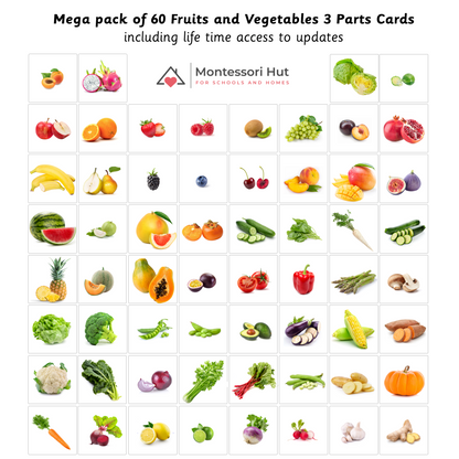 Montessori 3 Part Cards - Mega Pack 60 Common Fruits and Vegetables -  Nomenclature Cards, Classified Cards - DIGITAL DOWNLOAD