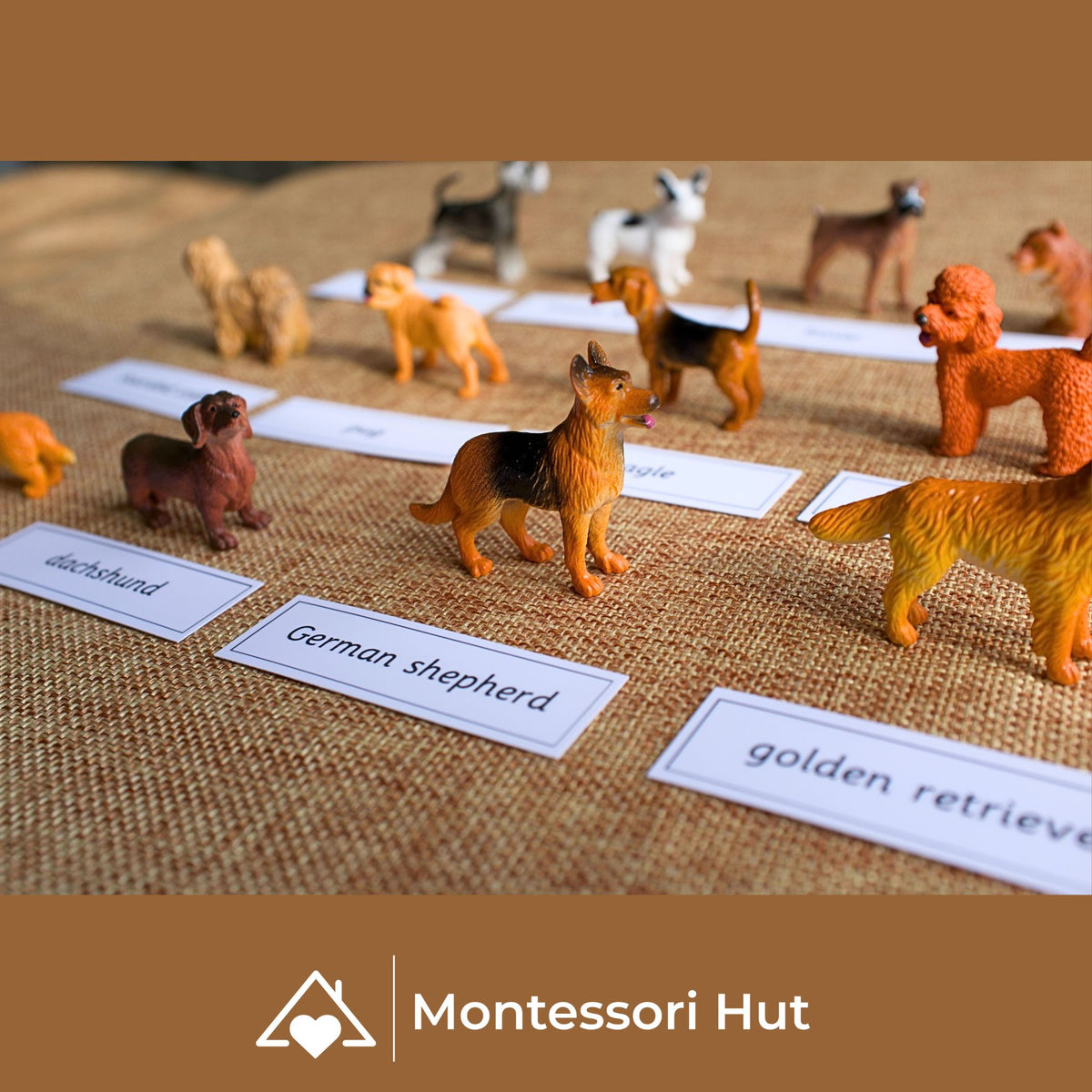 12 Dog Breeds Montessori Matching Nomenclature Cards with Miniature Figures