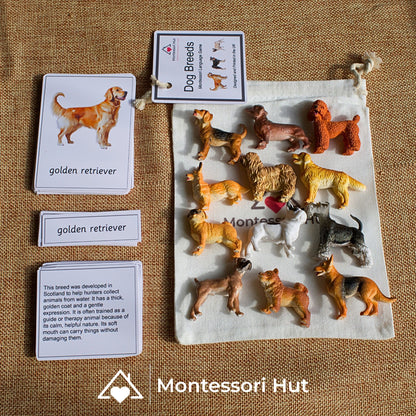 12 Dog Breeds Montessori Matching Nomenclature Cards with Miniature Figures