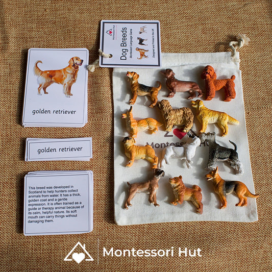 12 Dog Breeds Montessori Matching Nomenclature Cards with Miniature Figures