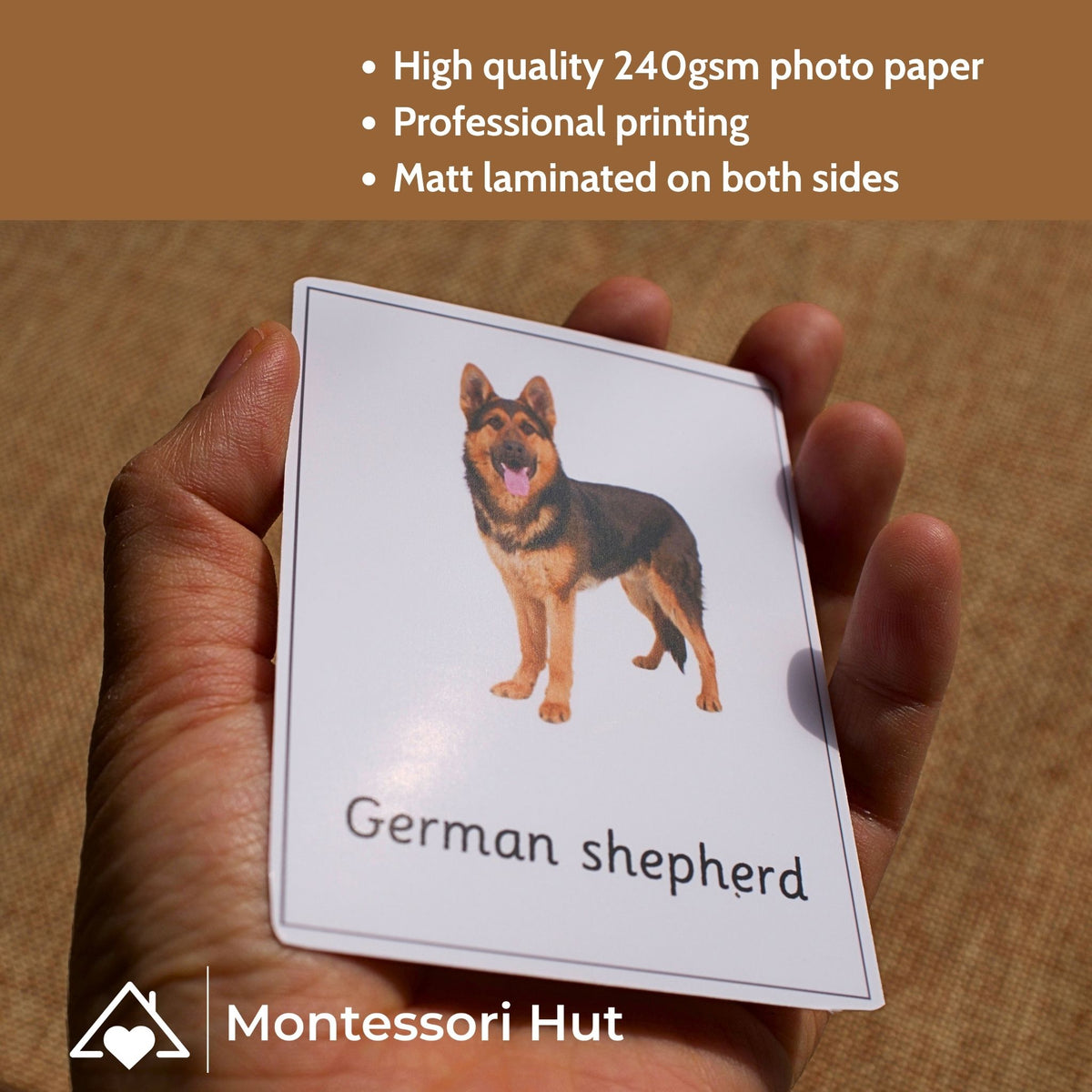 12 Dog Breeds Montessori Matching Nomenclature Cards with Miniature Figures