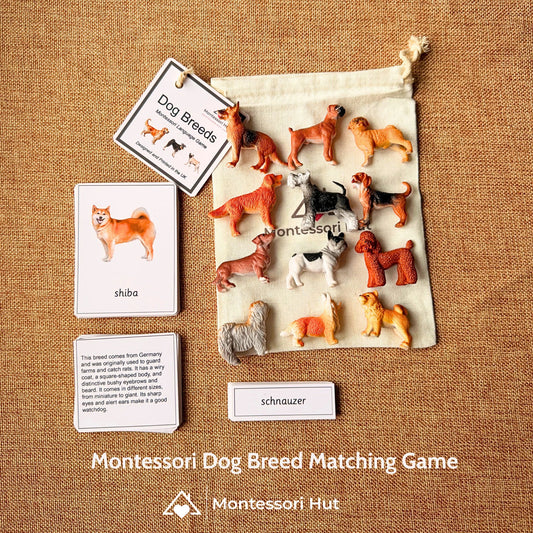 12 Dog Breeds Montessori Matching Nomenclature Cards with Miniature Figures