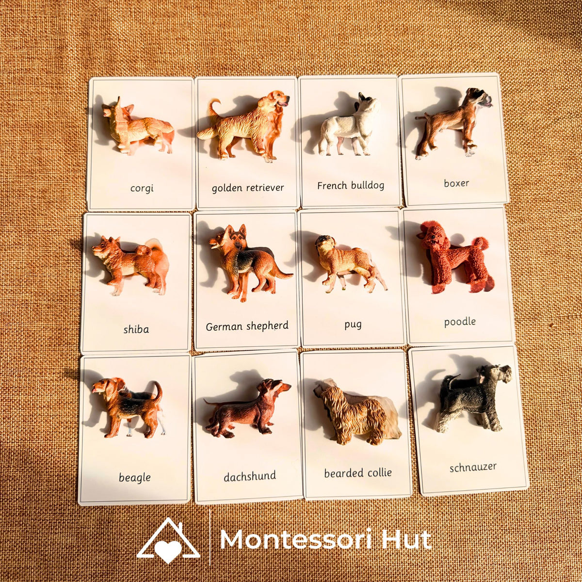 12 Dog Breeds Montessori Matching Nomenclature Cards with Miniature Figures