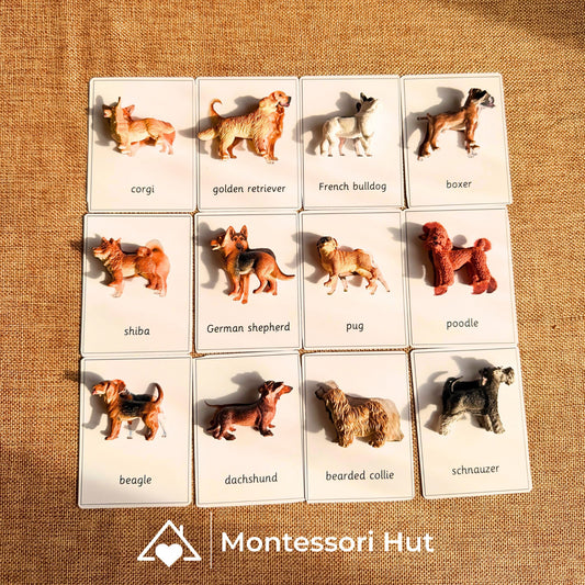12 Dog Breeds Montessori Matching Nomenclature Cards with Miniature Figures