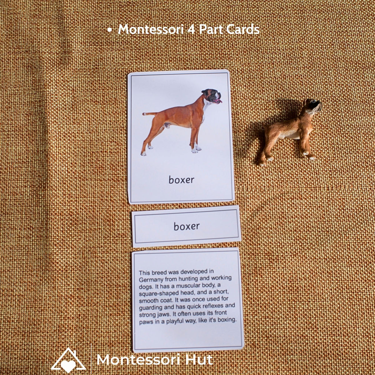 12 Dog Breeds Montessori Matching Nomenclature Cards with Miniature Figures