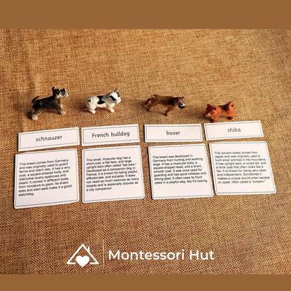 12 Dog Breeds Montessori Matching Nomenclature Cards with Miniature Figures