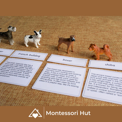 12 Dog Breeds Montessori Matching Nomenclature Cards with Miniature Figures