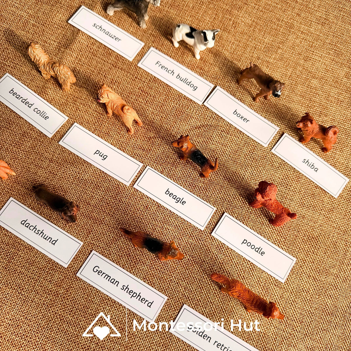 12 Dog Breeds Montessori Matching Nomenclature Cards with Miniature Figures