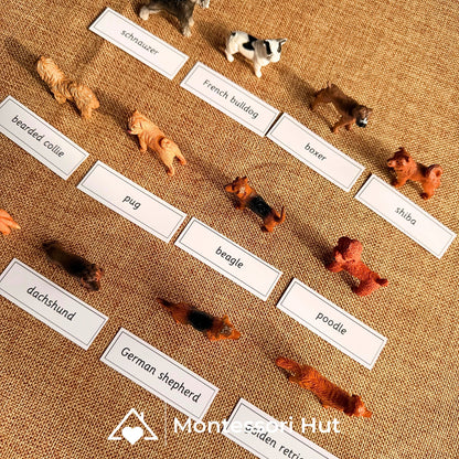 12 Dog Breeds Montessori Matching Nomenclature Cards with Miniature Figures