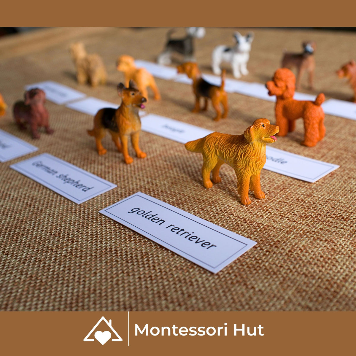 12 Dog Breeds Montessori Matching Nomenclature Cards with Miniature Figures