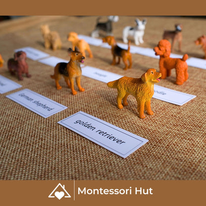 12 Dog Breeds Montessori Matching Nomenclature Cards with Miniature Figures