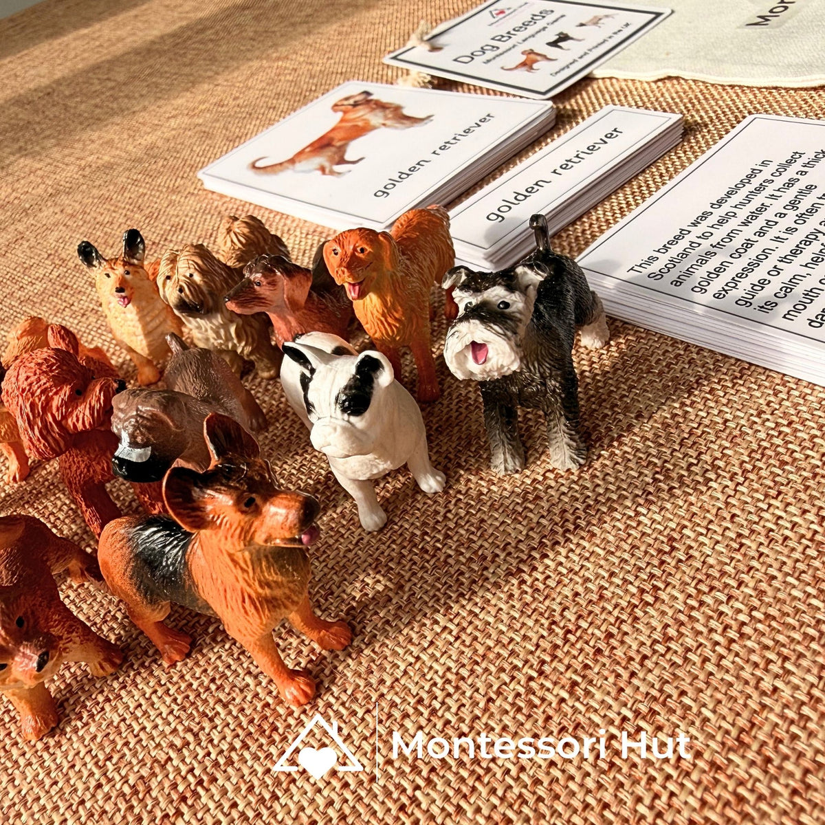 12 Dog Breeds Montessori Matching Nomenclature Cards with Miniature Figures