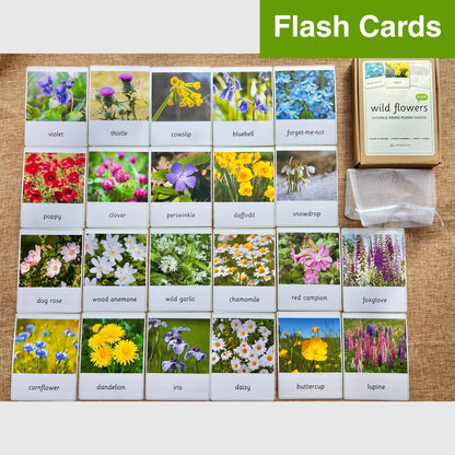 24 wild flower flash cards laid out in a grid with the box