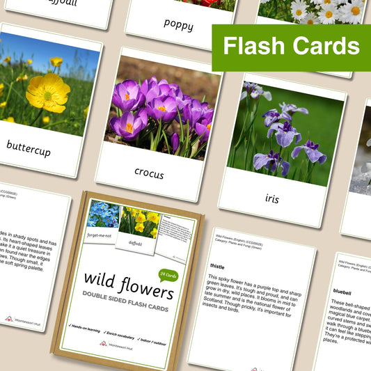 24 Wild Flowers Flash Cards with Facts - Educational Language Activity for Forest School, Montessori and Homeschools