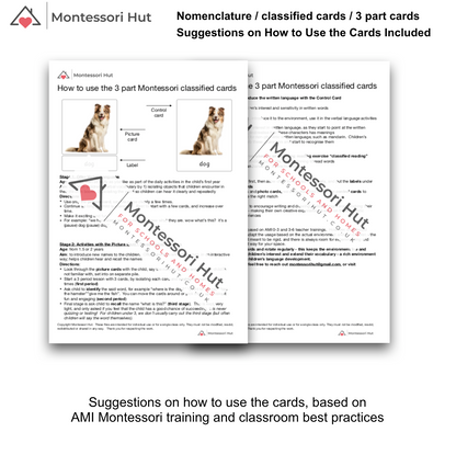 Montessori 3 Part Cards - Mega Pack 60 Common Fruits and Vegetables -  Nomenclature Cards, Classified Cards - DIGITAL DOWNLOAD