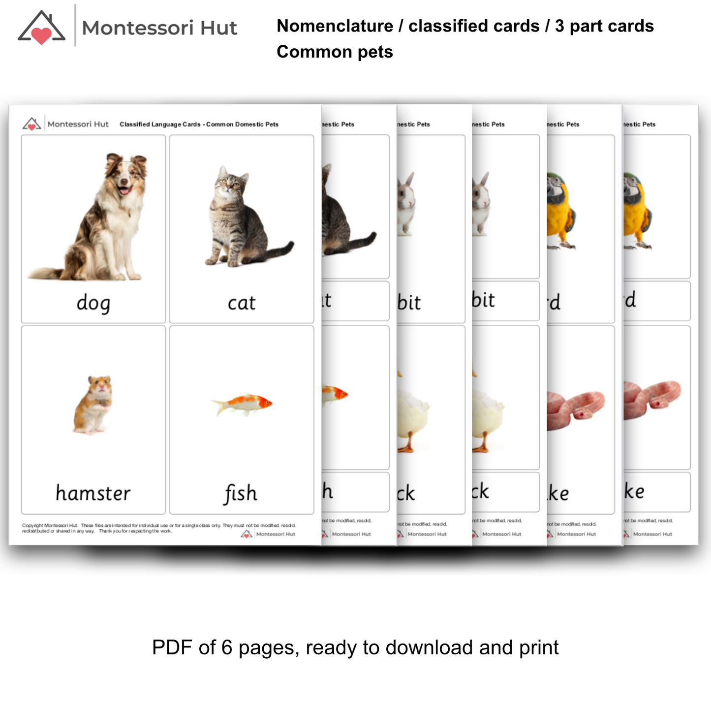 Montessori Classified Cards, 3 Part Language Cards - 12 Common Pets, Animals - for Language Enrichment - Nomenclature Cards - DIGITAL DOWNLOAD