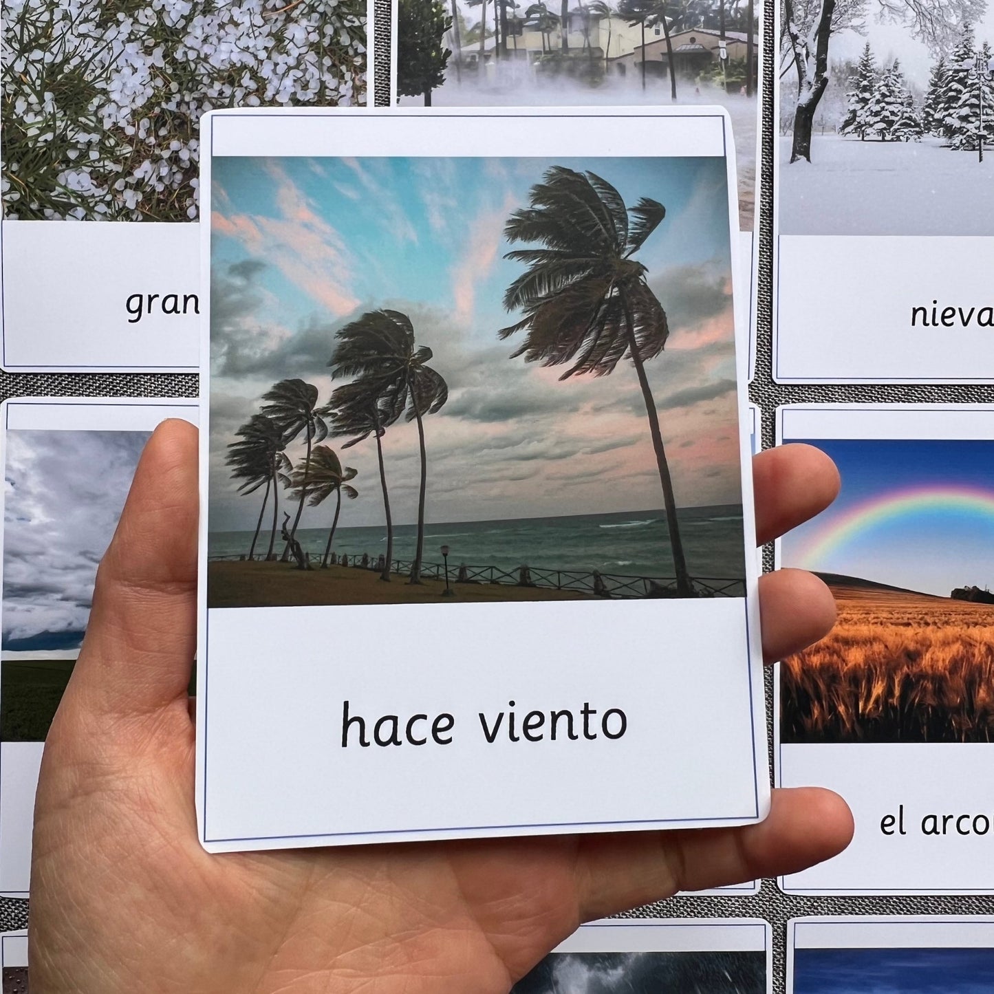 15 Weather Spanish Montessori 3 Part Cards
