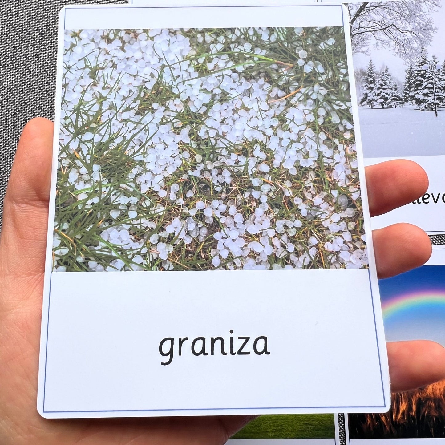 15 Weather Spanish Montessori 3 Part Cards