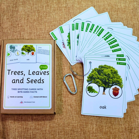24 Tree ID cards with Leaf, Seeds and Mini-Facts