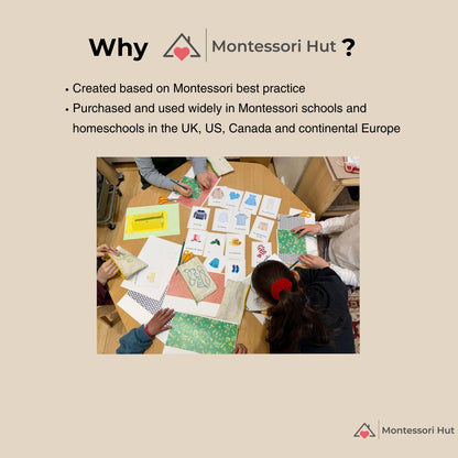 Montessori Sun Game – Food Chain and Ecosystem Learning Cards - Handmade Premium Quality