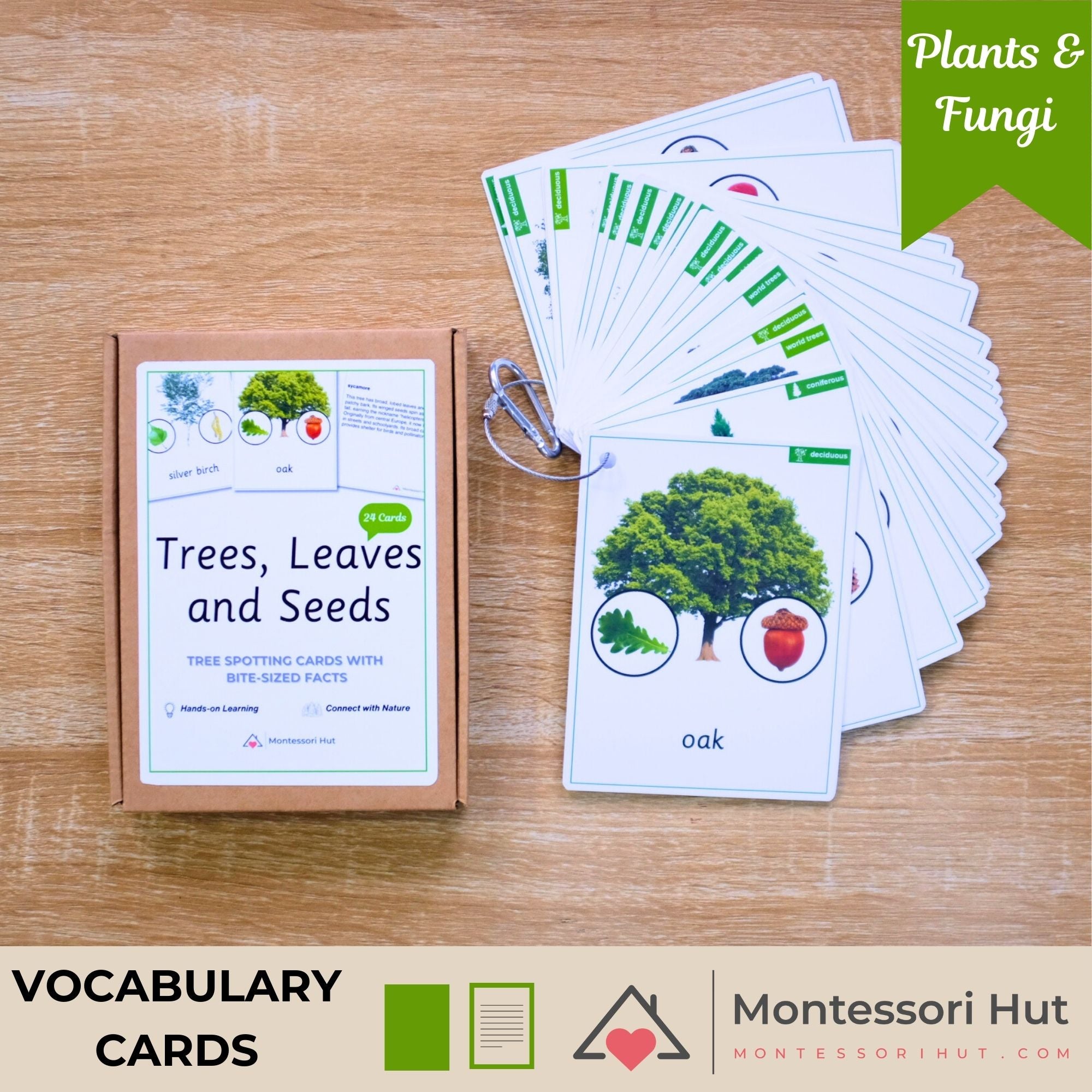 Interactive Tree Card 24 Tree ID cards with Leaf, Seeds and Mini-Facts - Montessori, Forest ...